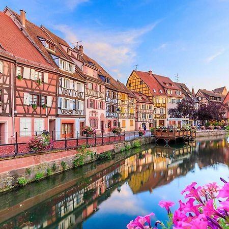 Appartement Avec Terrasse Entre Vignes, Balades, Alsace Guebwiller Exteriér fotografie