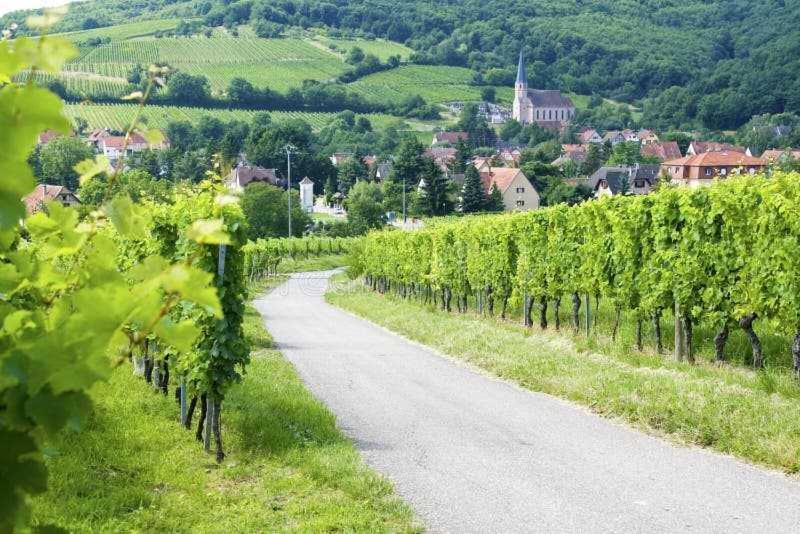 Appartement Avec Terrasse Entre Vignes, Balades, Alsace Guebwiller Exteriér fotografie